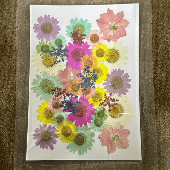 36 in 1 Pressed Dry Flowers