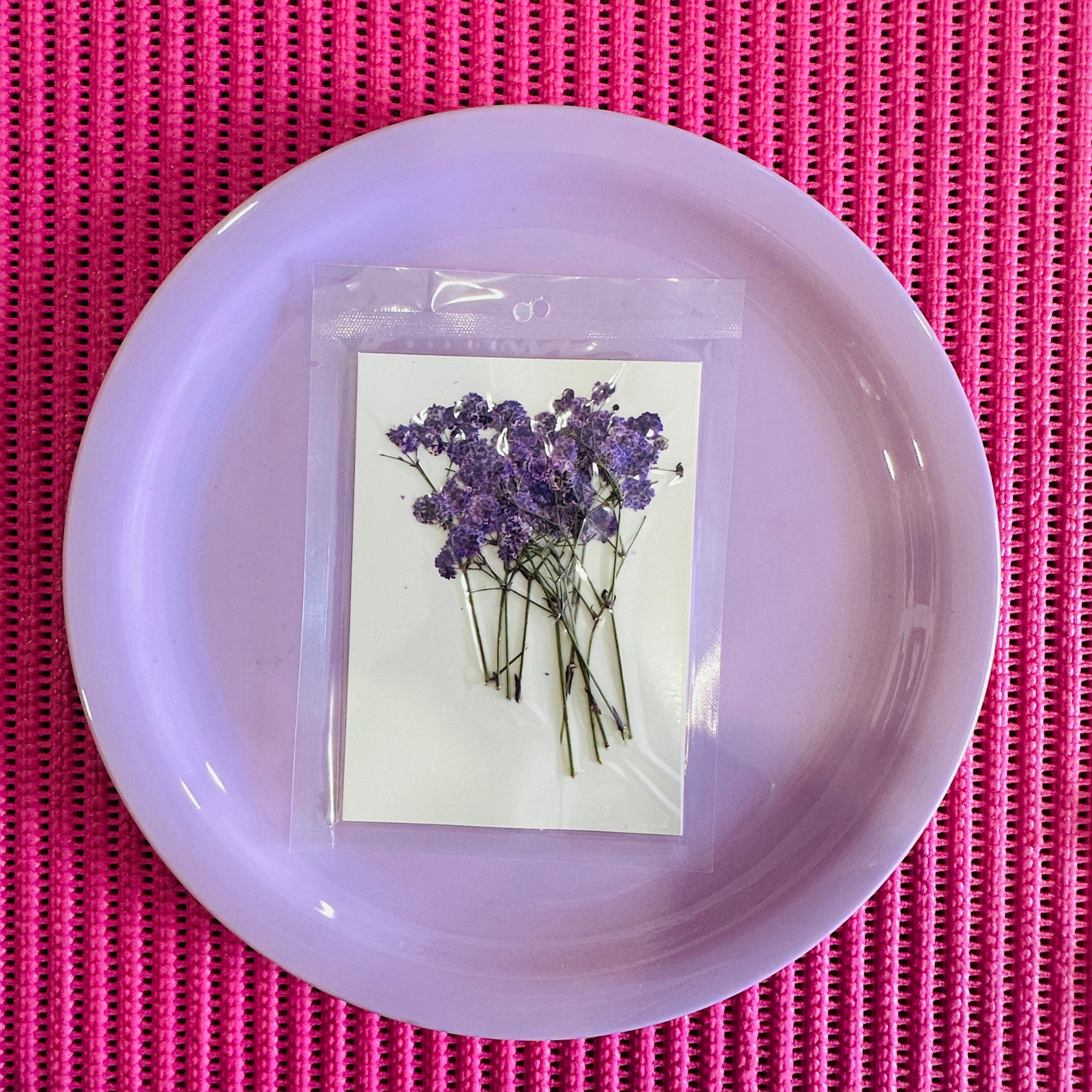 Purple baby breathe flower