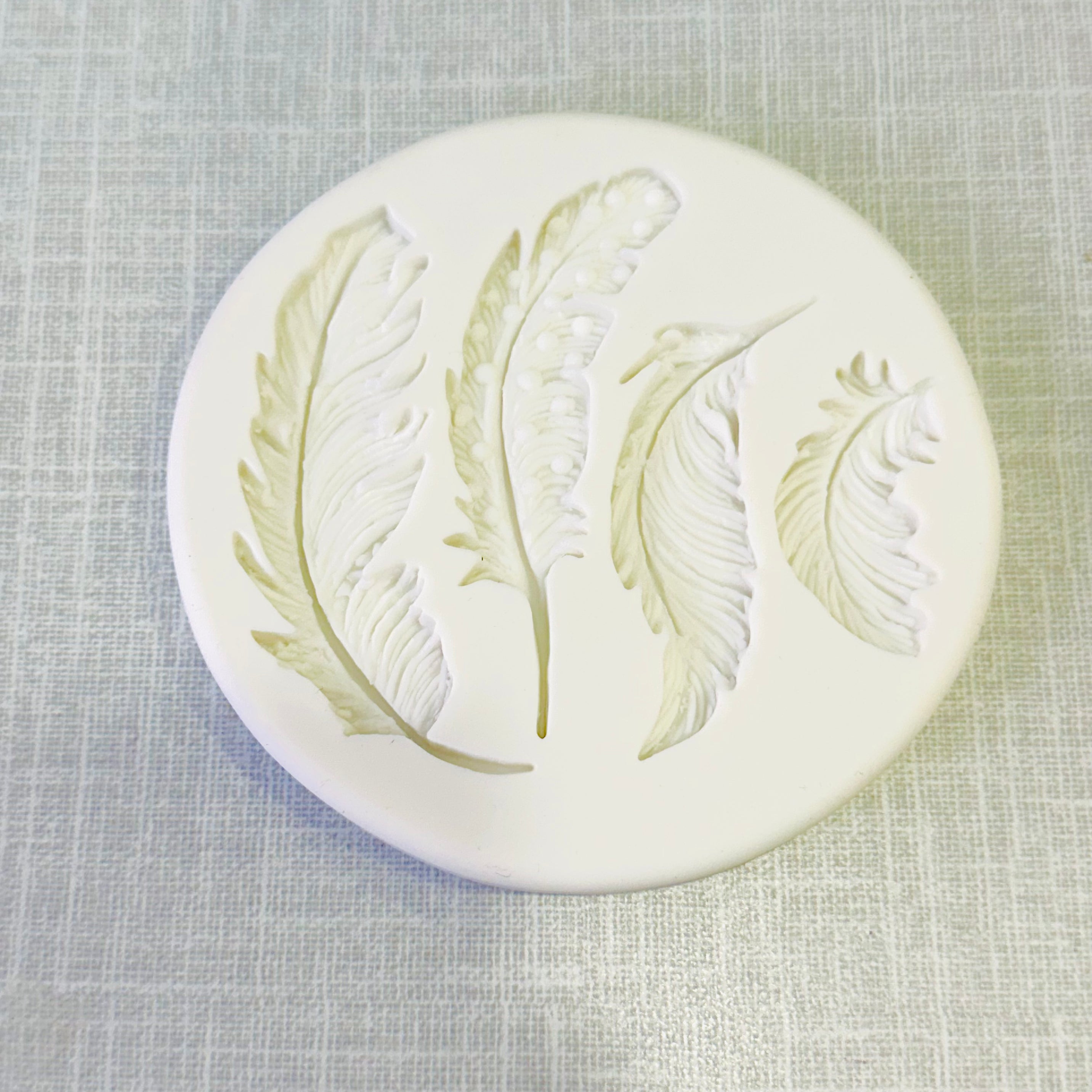 Small Feather Mould