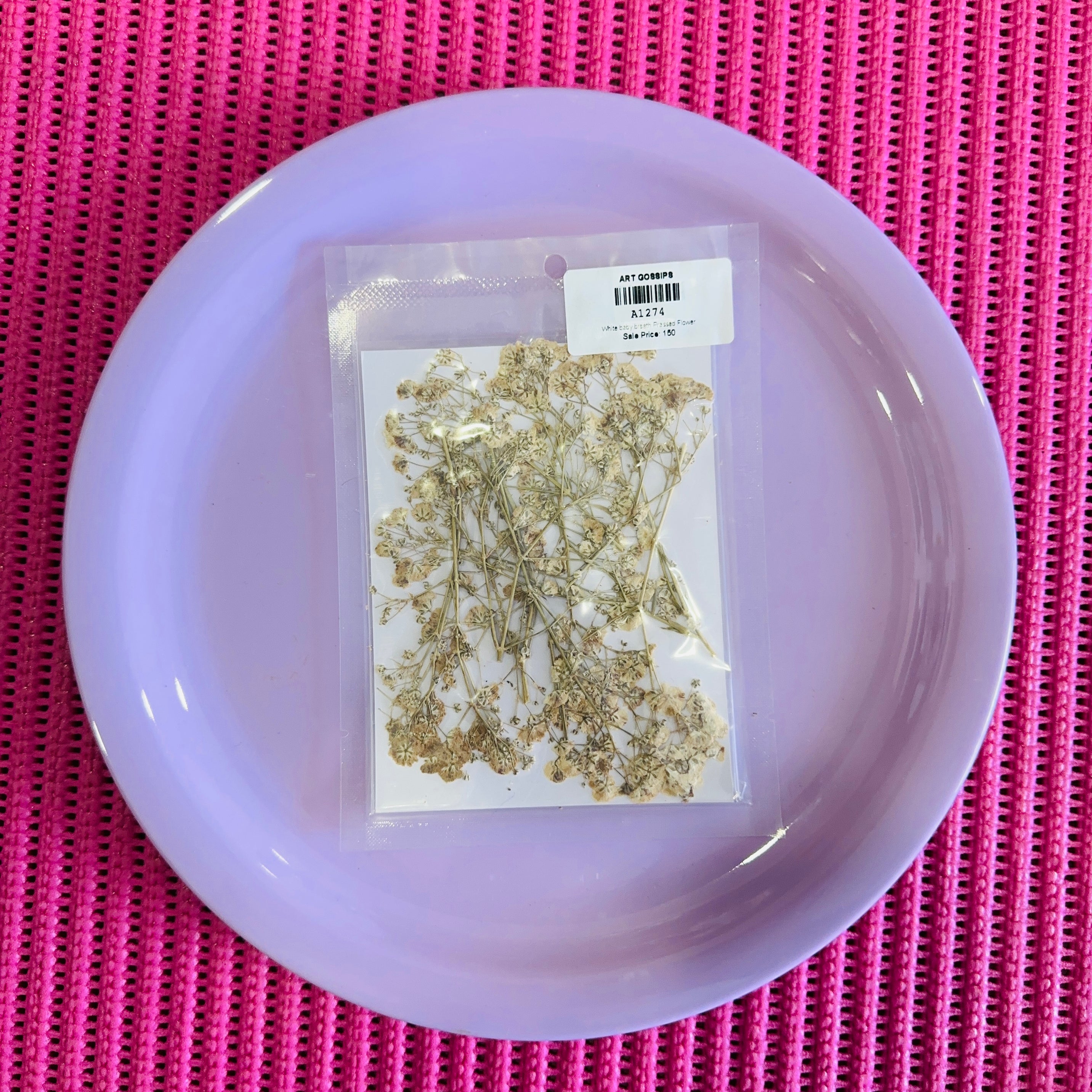 White baby breath pressed flower