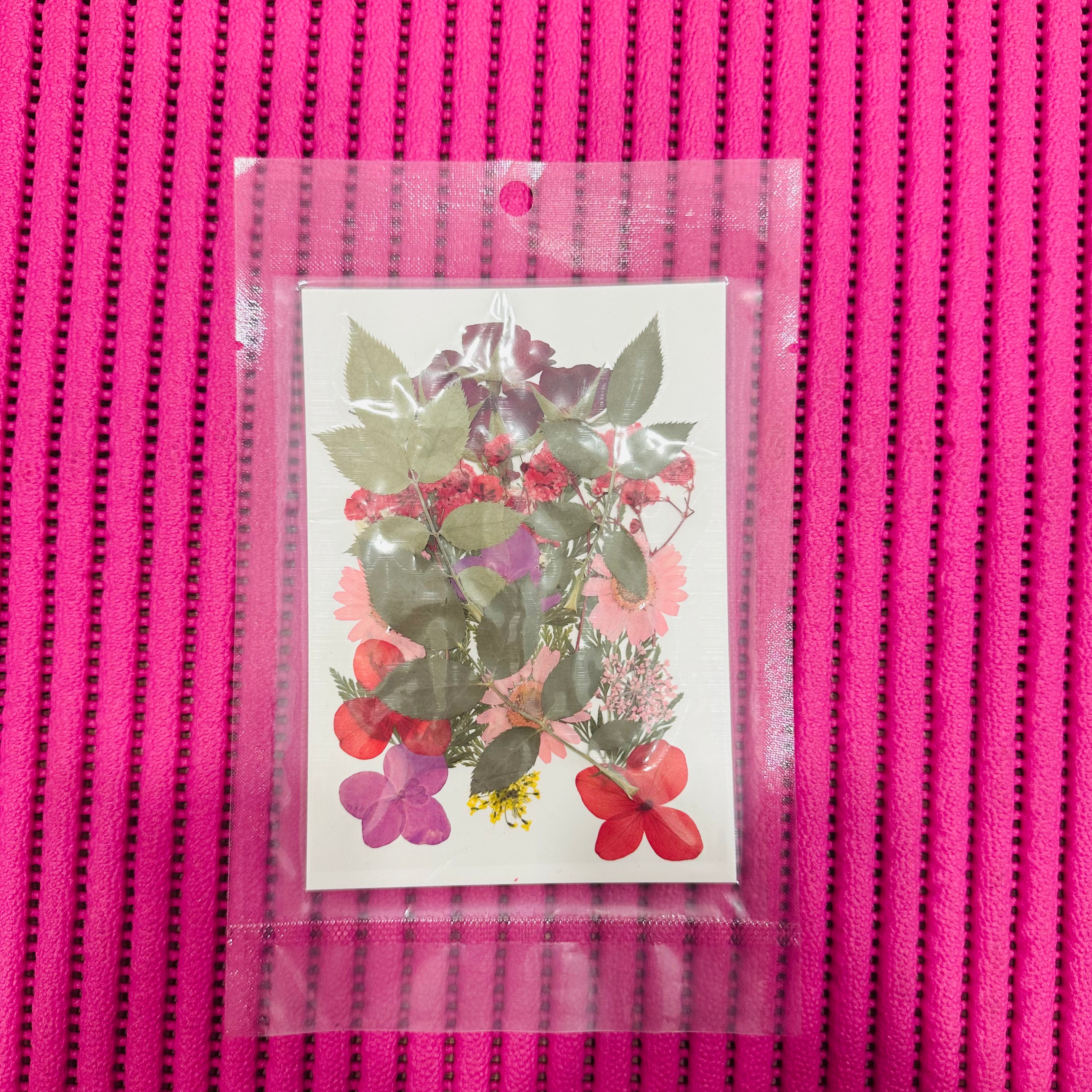 25 in 1 pressed Dry Flowers