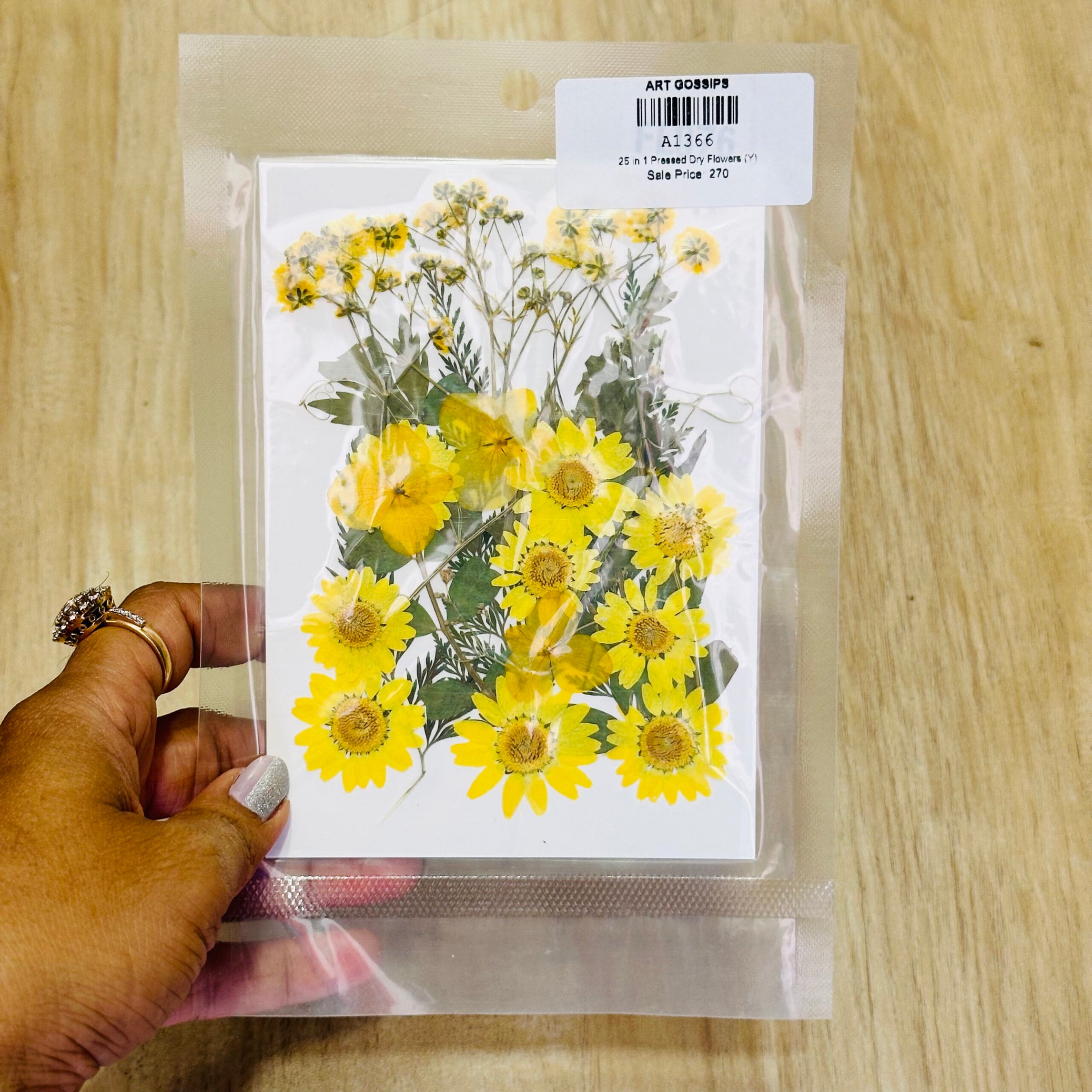 25 in 1 Pressed Dry Flowers (Y)