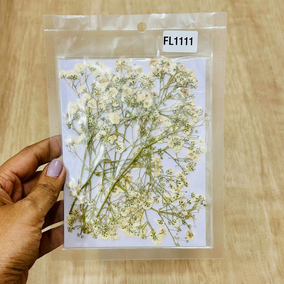 White baby breath Pressed Flower