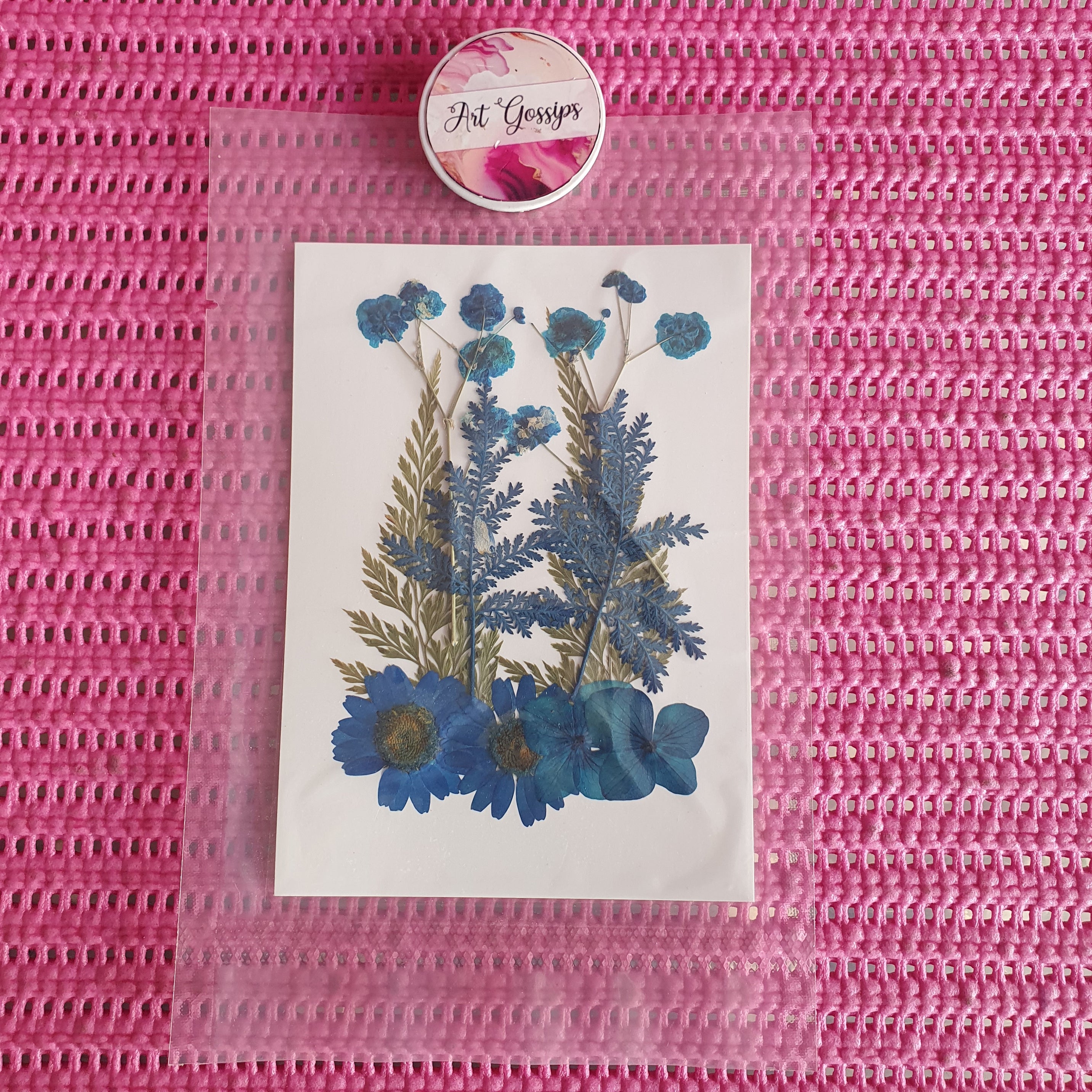 10 in 1 pressed Dry flowers B