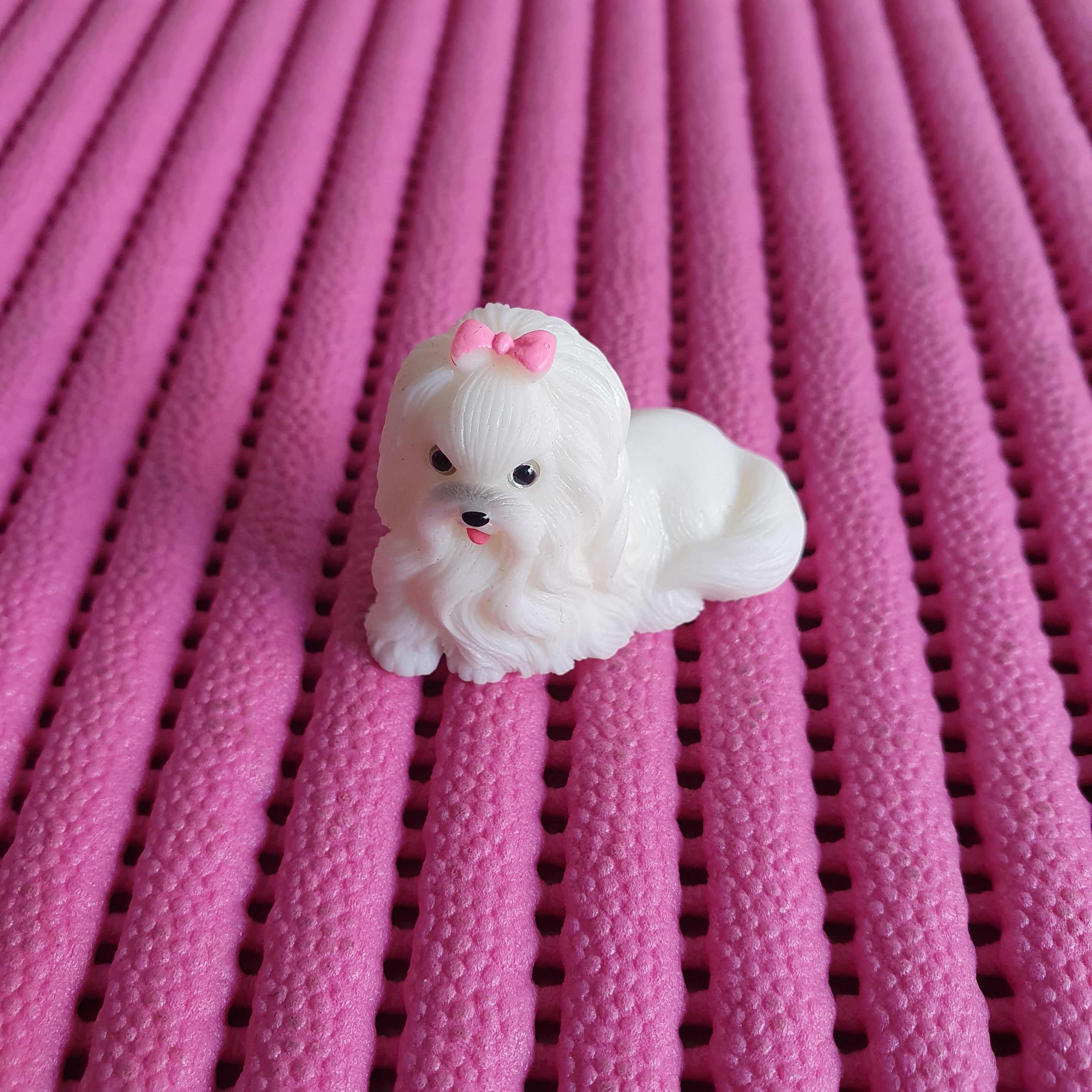 Dog miniature