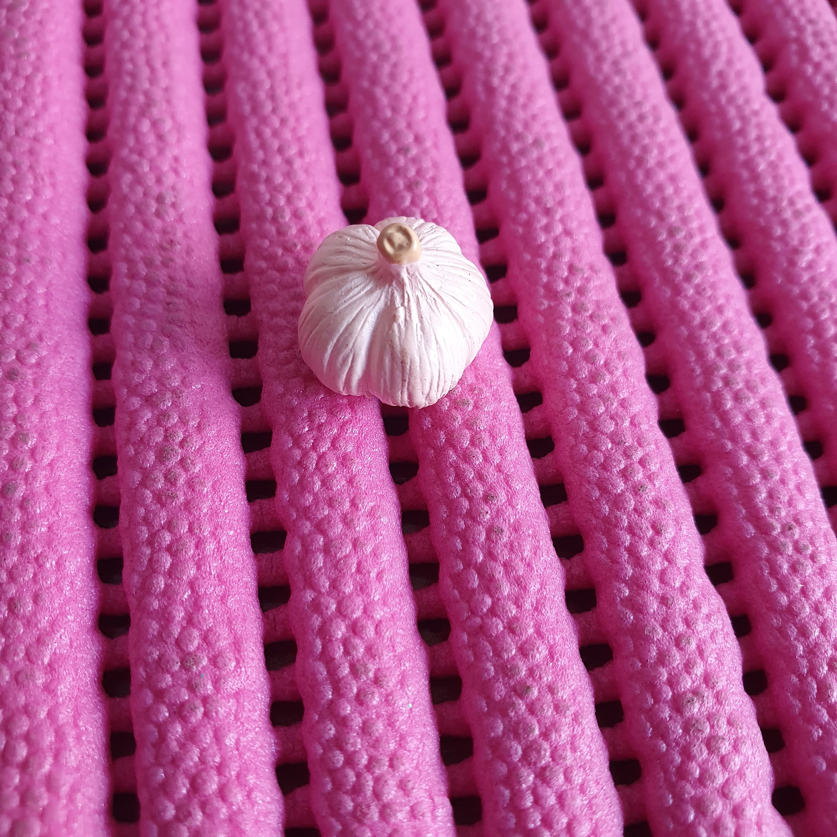 Garlic miniature