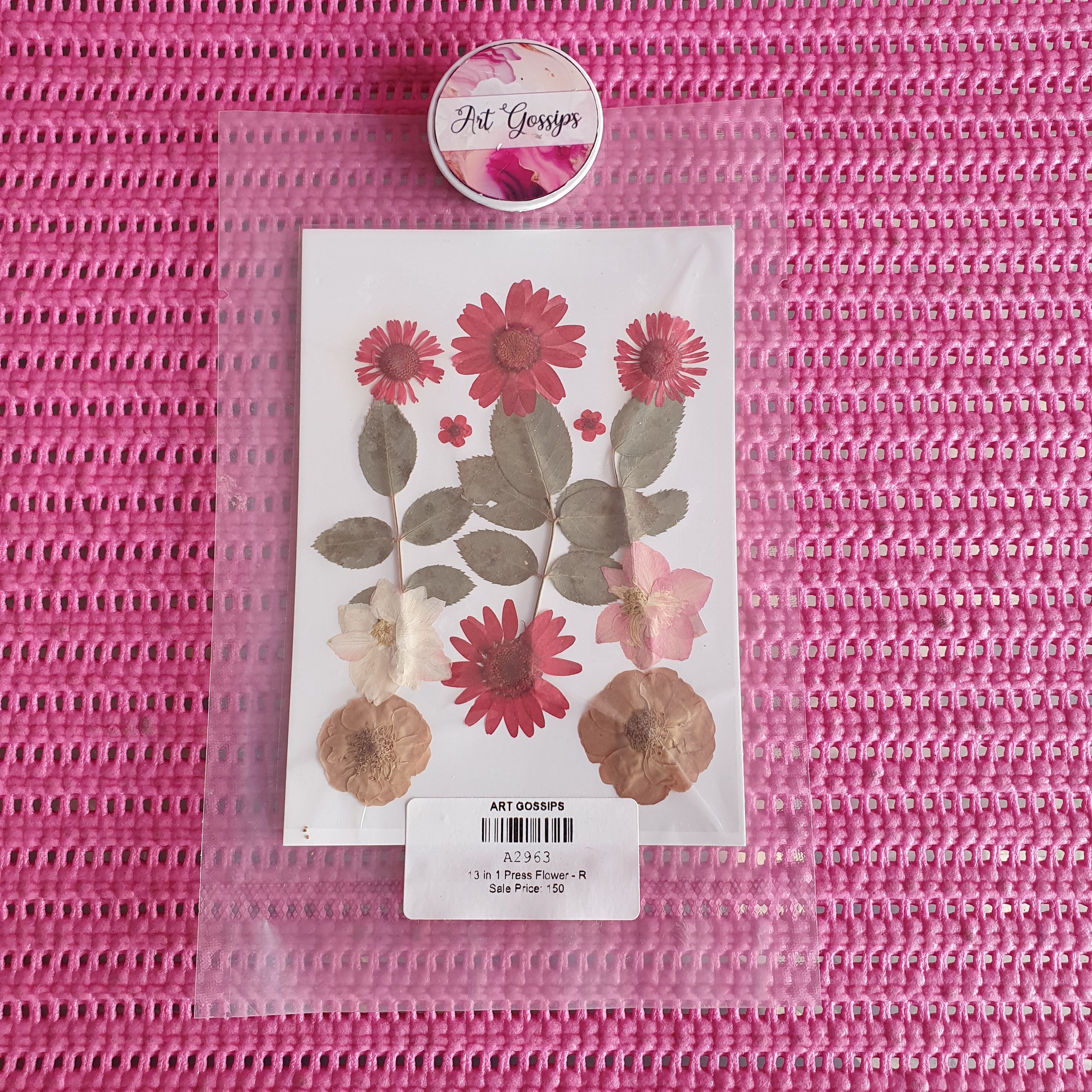 13 in 1 Press flower -R
