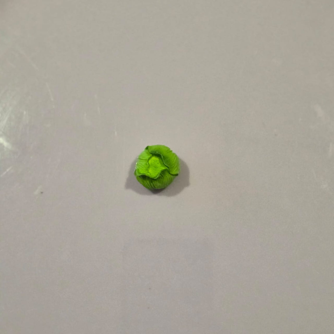 Cabbage