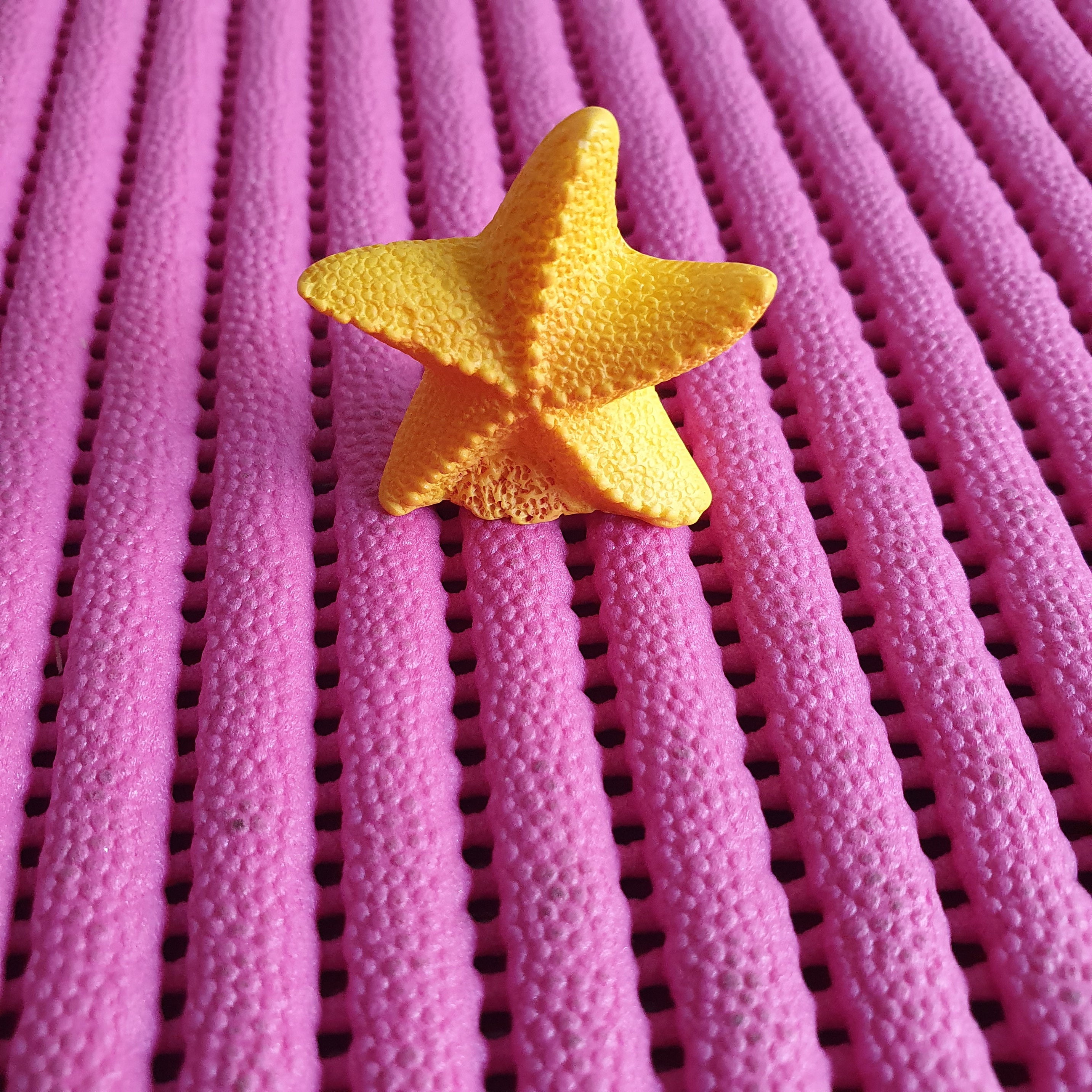 Star fish miniature