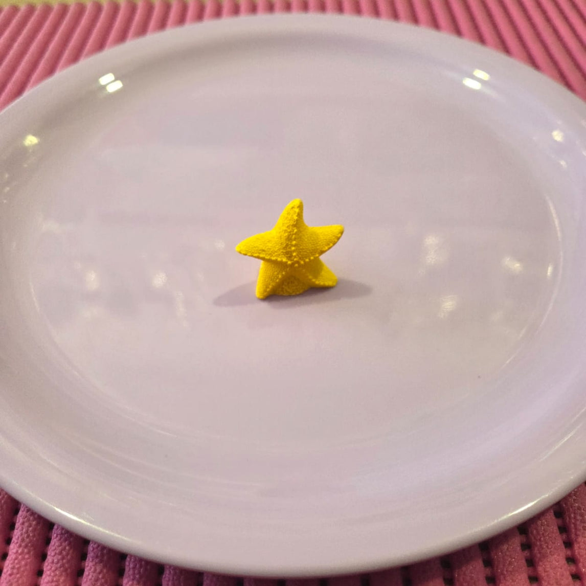 Starfish -A Miniature