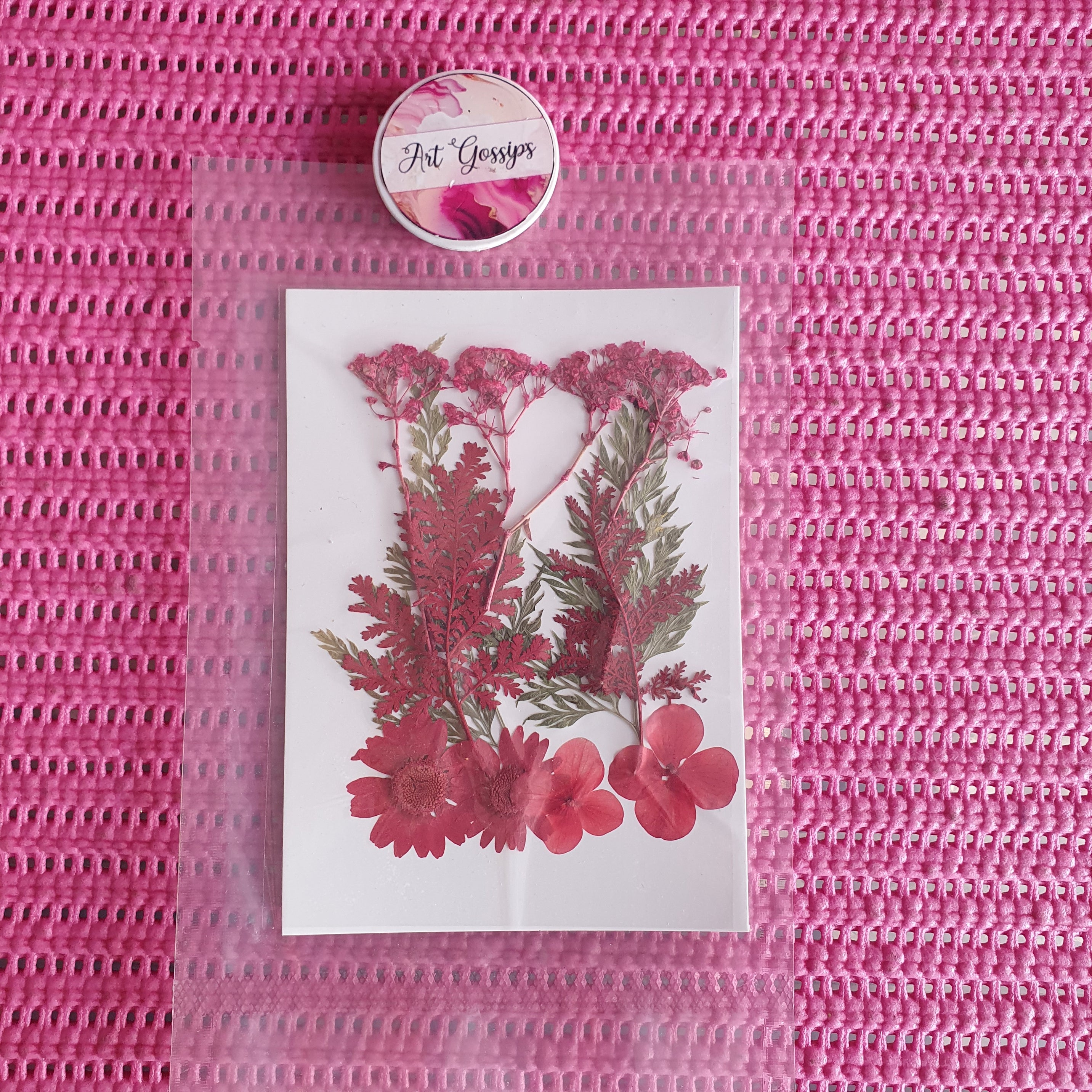 10 in 1 Pressed Dry Flowers R