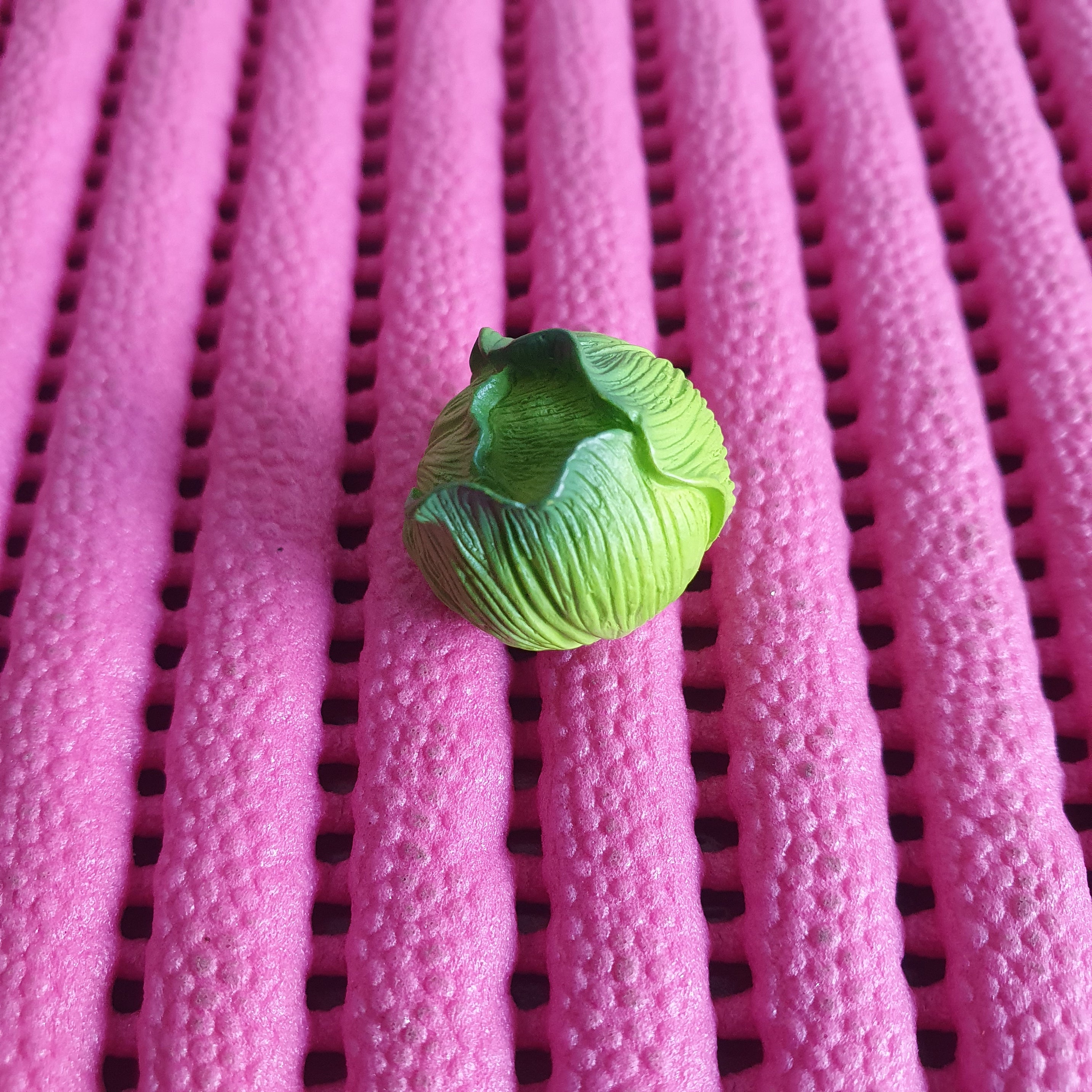 Cabbage miniature