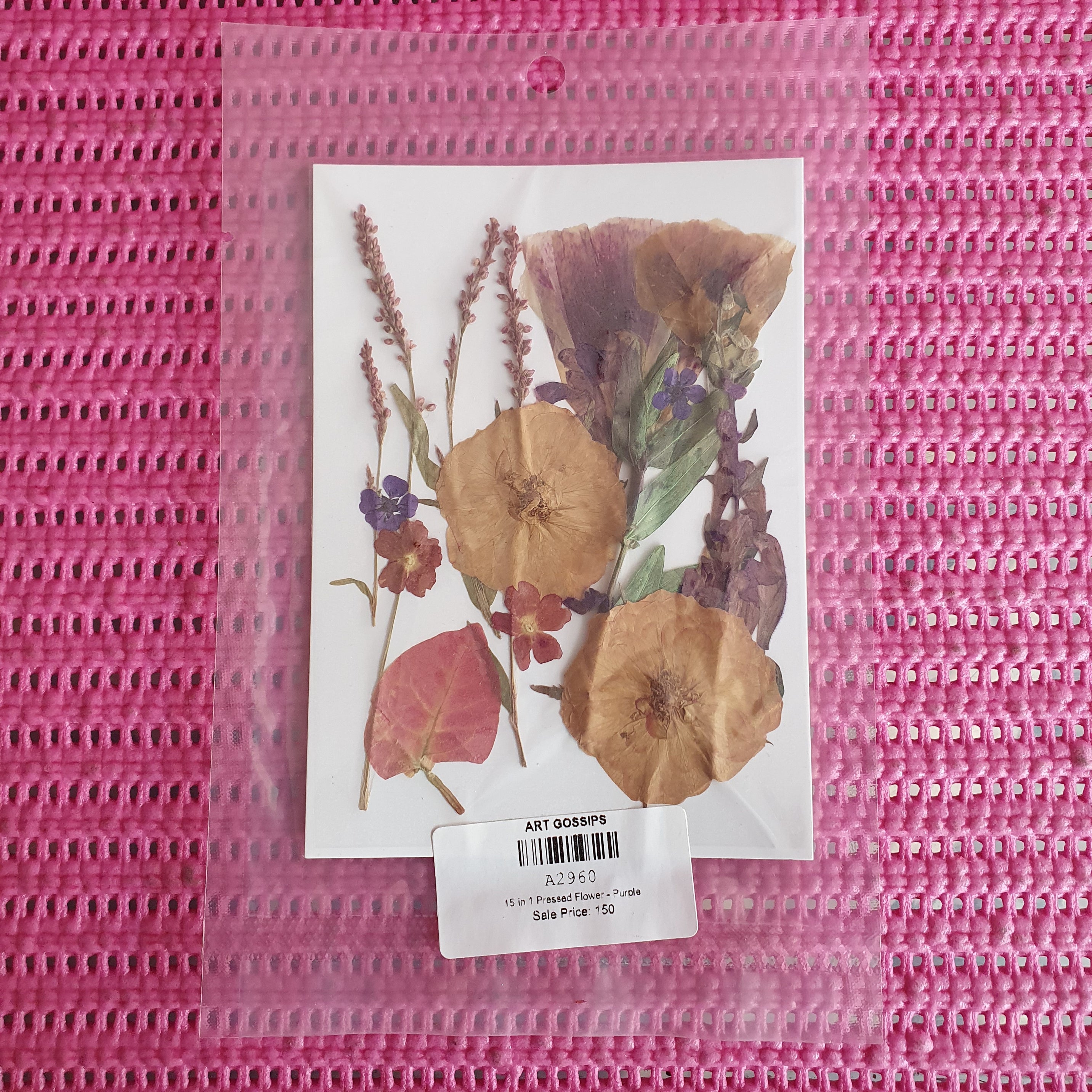 15 in 1 pressed flower-purple